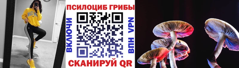 hydra ссылка  купить  сайты  Кувшиново  Псилоцибиновые грибы Magic Shrooms 